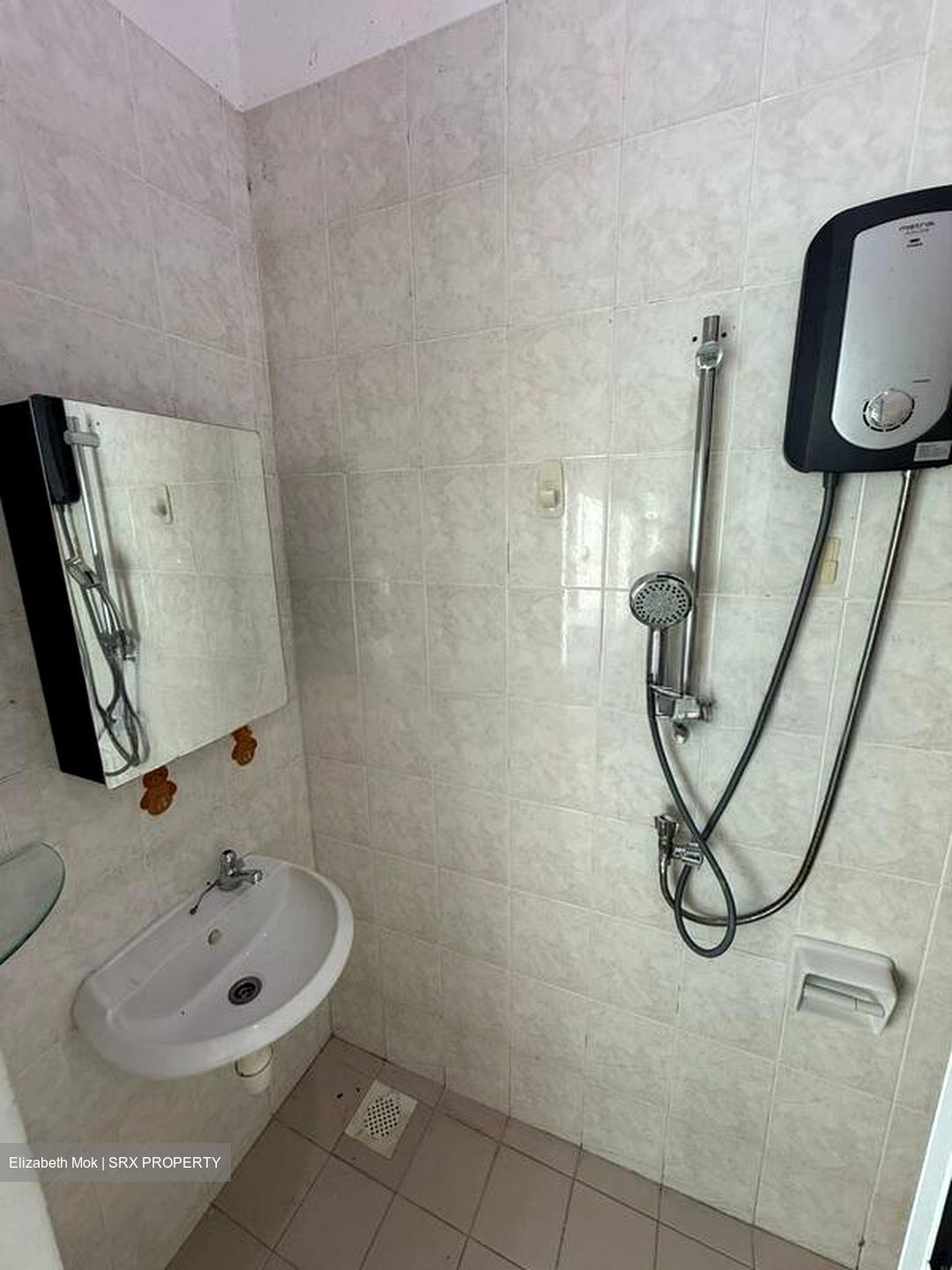 Southaven II (D21), Condominium #498702221